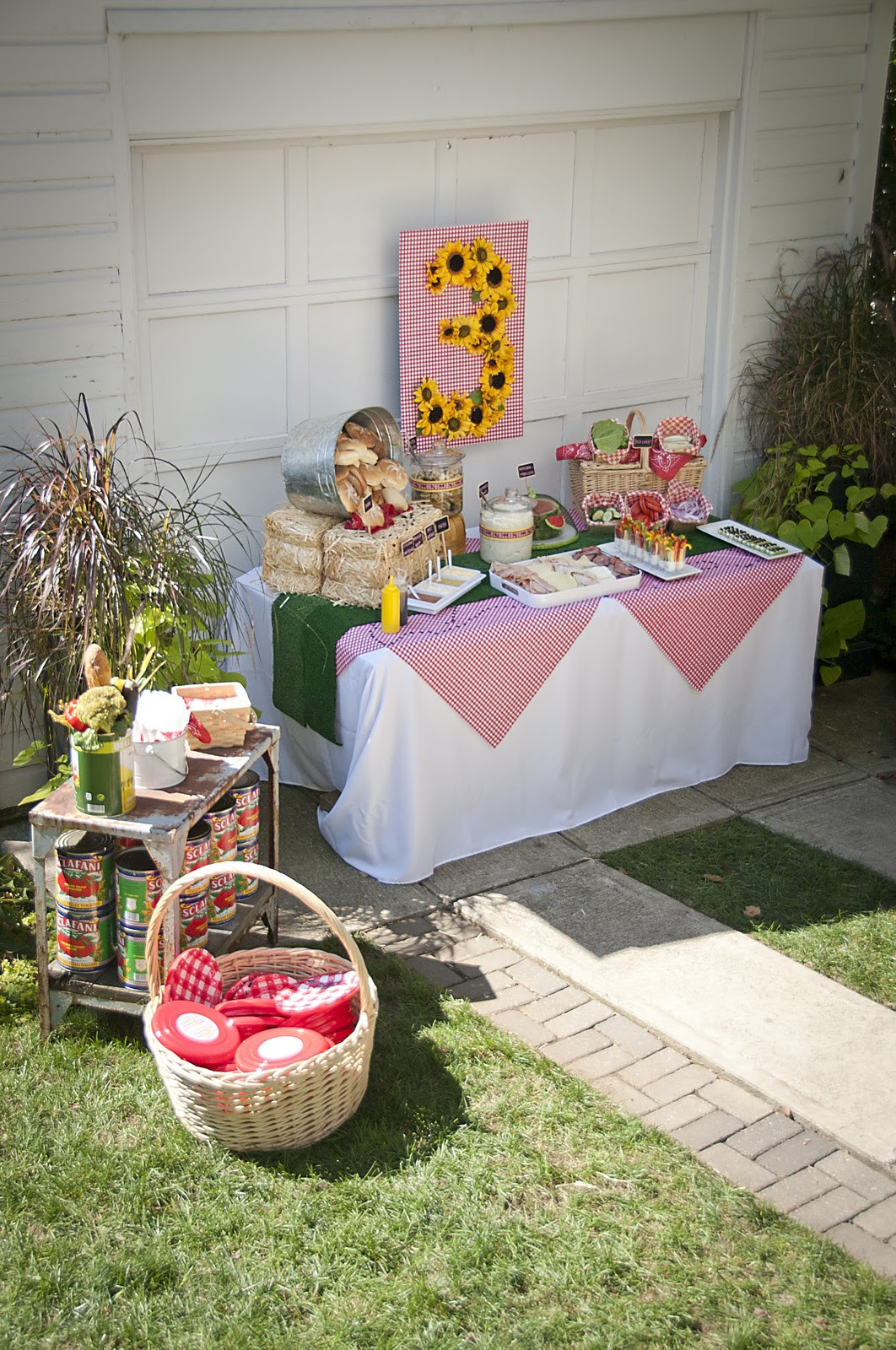 Picnic Birthday Party Ideas
 a party style picnic party