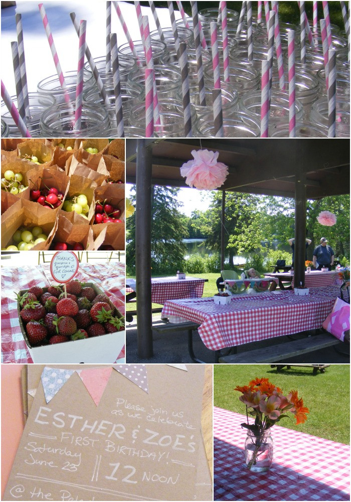 Picnic Birthday Party Ideas
 A First Birthday Picnic Party