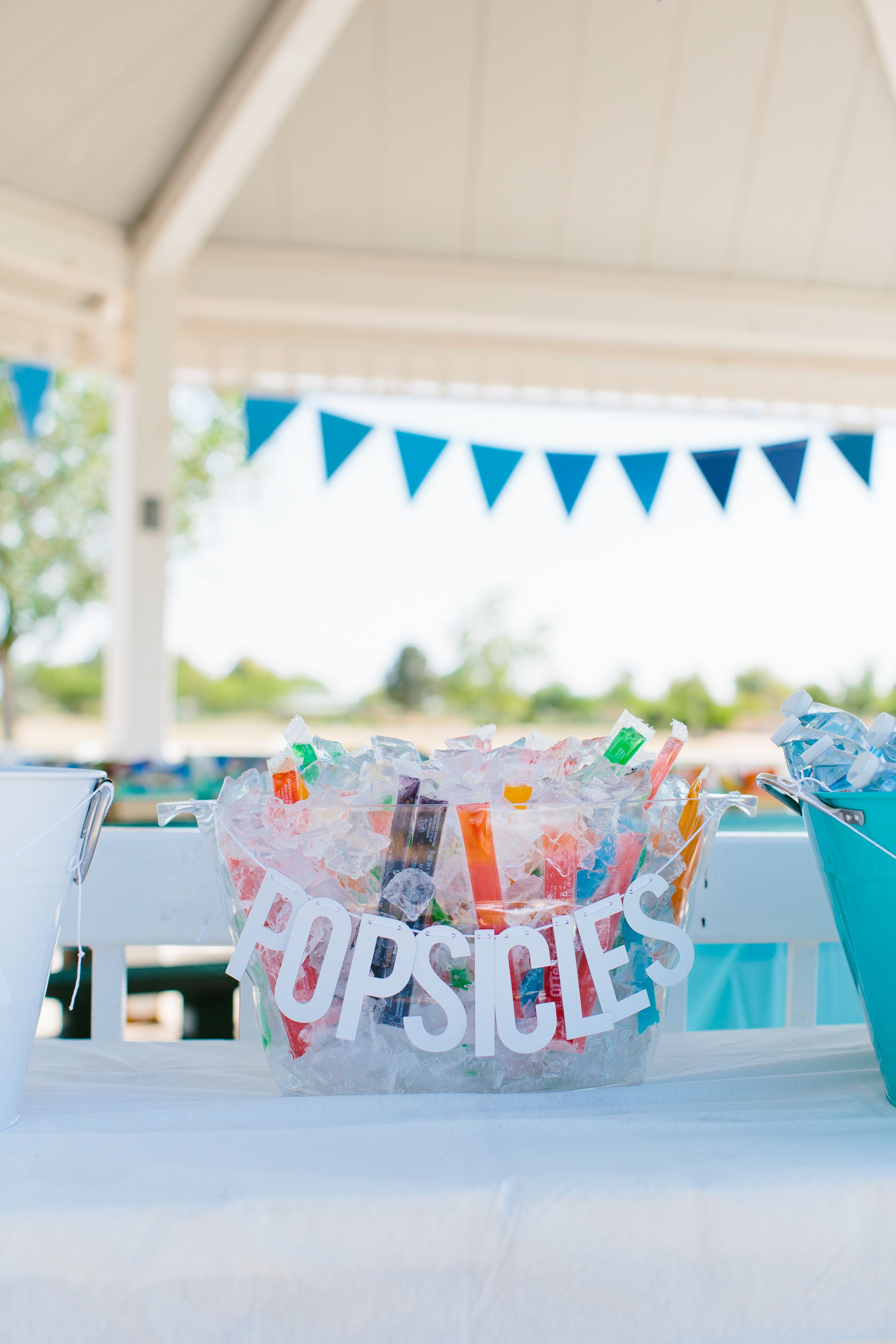 Pool Party Ideas For 6 Year Olds
 A First Birthday Picnic in the Park