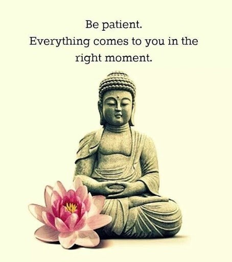 Positive Buddhist Quotes
 buddhist on Tumblr