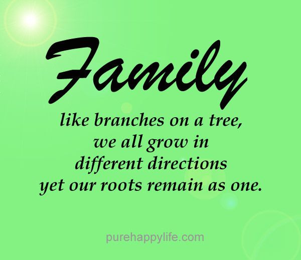 Positive Family Quotes
 quotes more on purehappylife Family like branches
