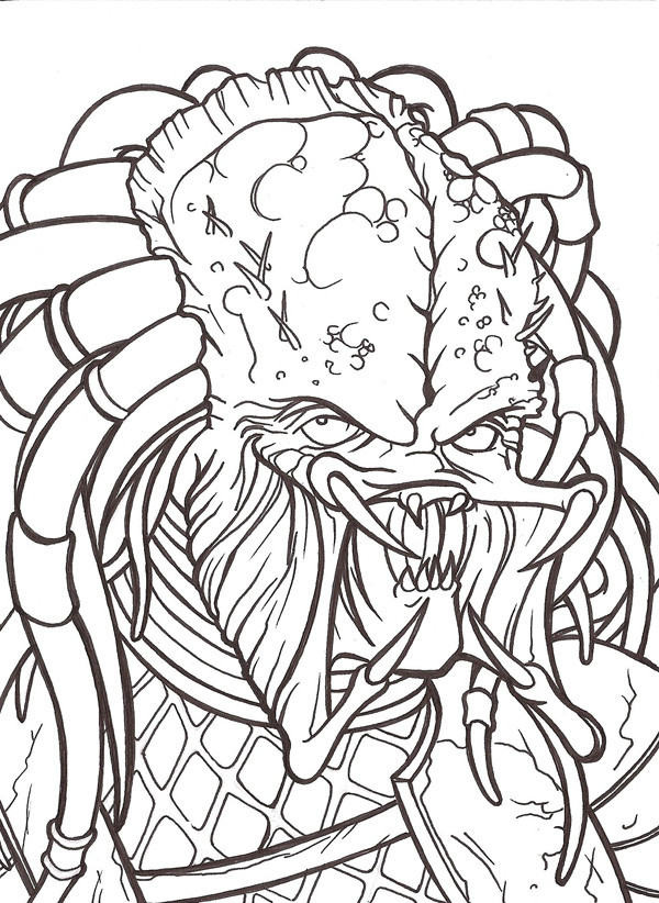 Predator Coloring Pages
 drawnwest January 2012