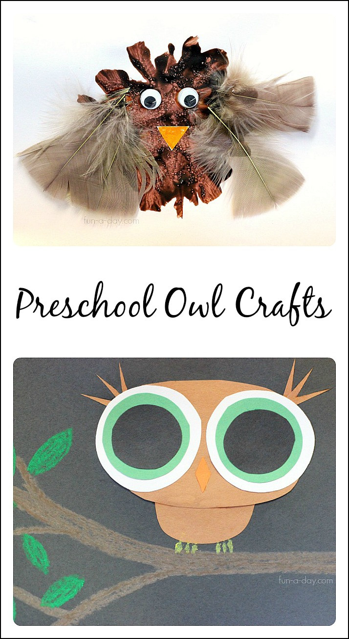 Preschool Craft Activity
 Book Inspired Preschool Owl Craft