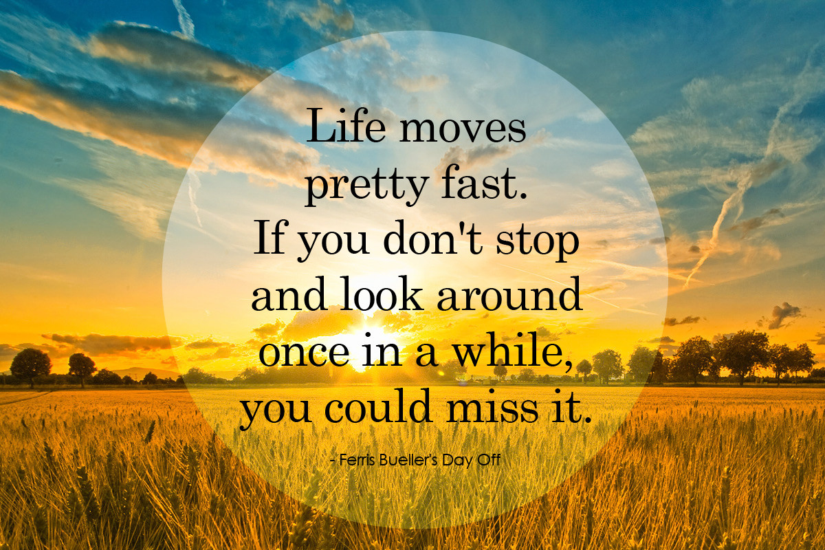 Pretty Quotes About Life
 Sights and Vistas
