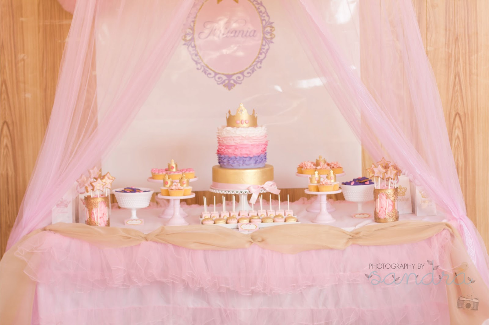 Princess 1St Birthday Party Ideas
 Little Big pany