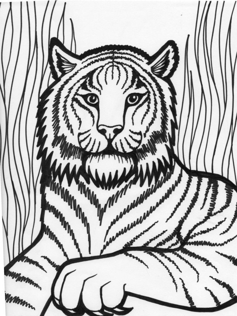 Print Coloring Pages
 Free Printable Tiger Coloring Pages For Kids