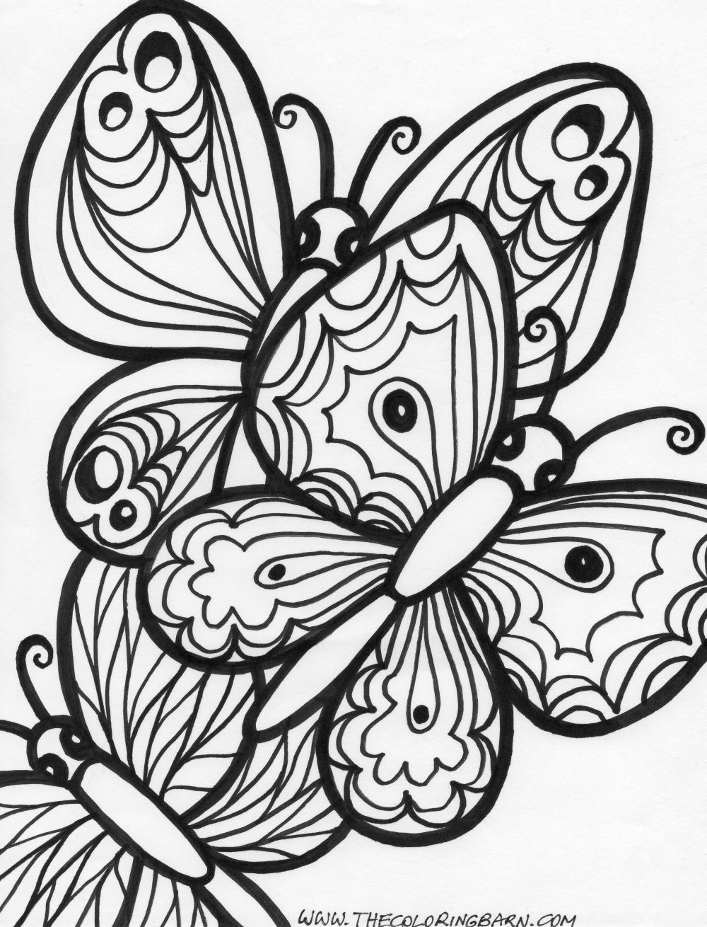 Printable Adult Coloring Pages Free
 coloring pages for adults