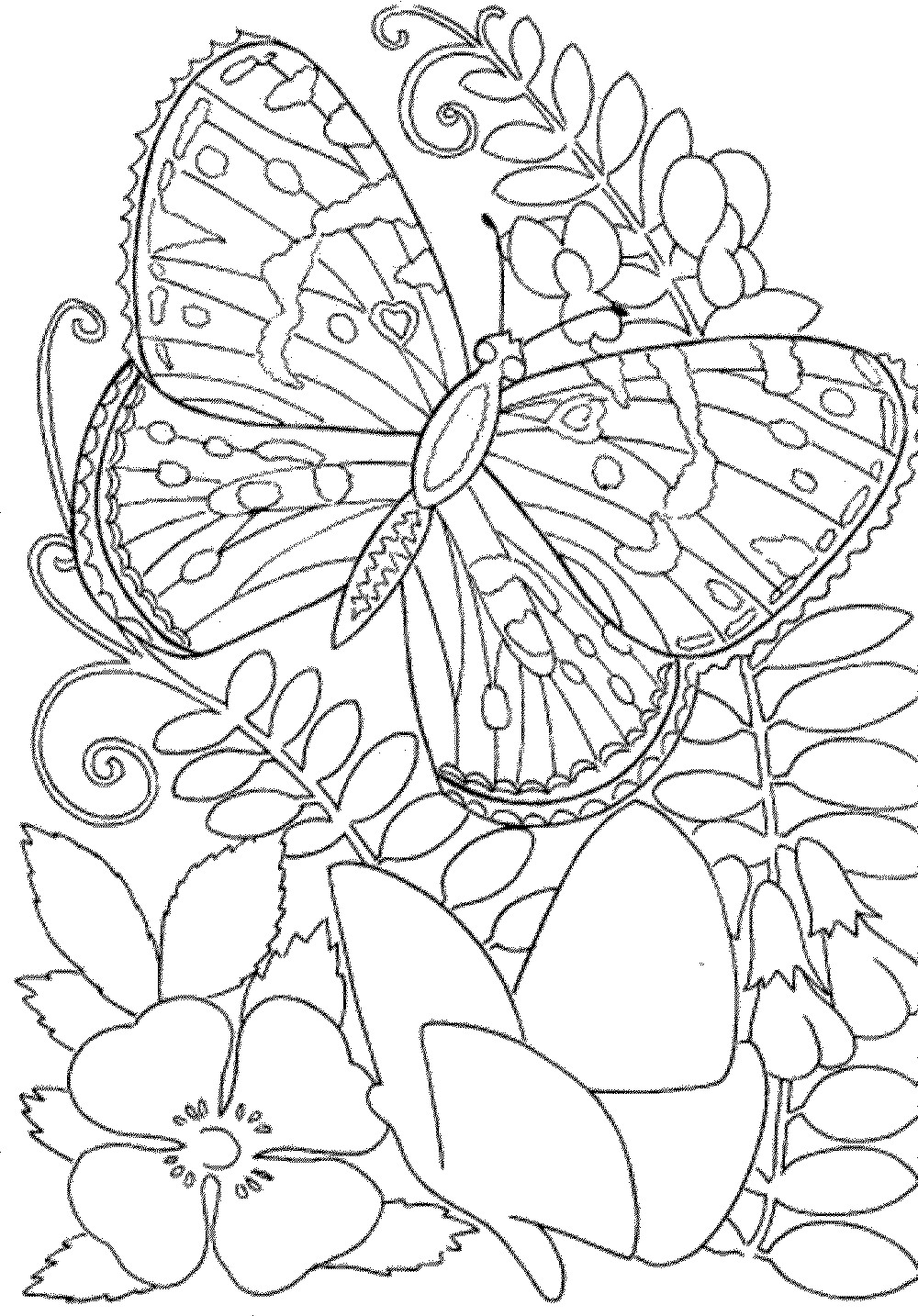 Printable Adult Coloring Pages Free
 Free Owl Adult Coloring Pages To Print Coloring Home