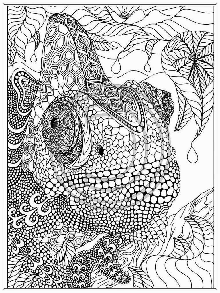 Printable Adult Coloring Pages Free
 Adult Coloring Page Coloring Home