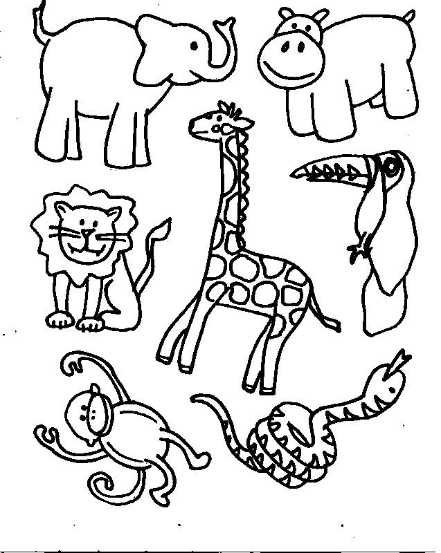 Printable Animal Coloring Pages
 Animals Printable Coloring Pages Free Printable Coloring