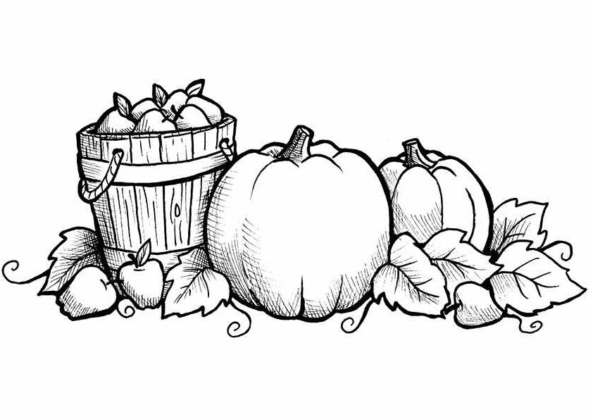 Printable Coloring Pages Fall
 Free Printable Fall Coloring Pages for Kids Best