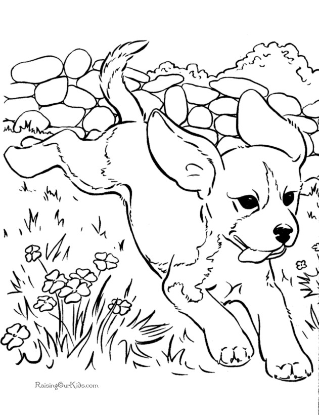 Printable Coloring Pages Of Dogs
 Realistic Dog Coloring Pages Coloring Home