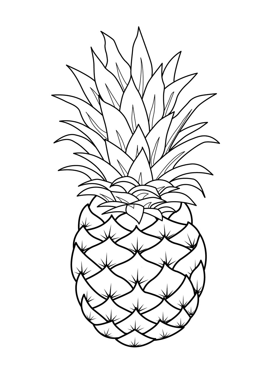 Printable Fruit Coloring Pages
 Fruits Coloring Pages Printable