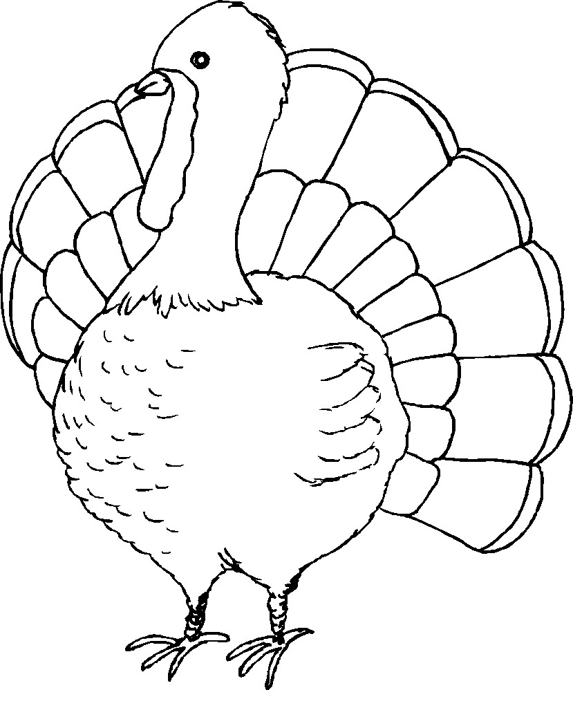 Printable Turkeys Coloring Pages
 Free Coloring Pages Turkey Disney Coloring Pages