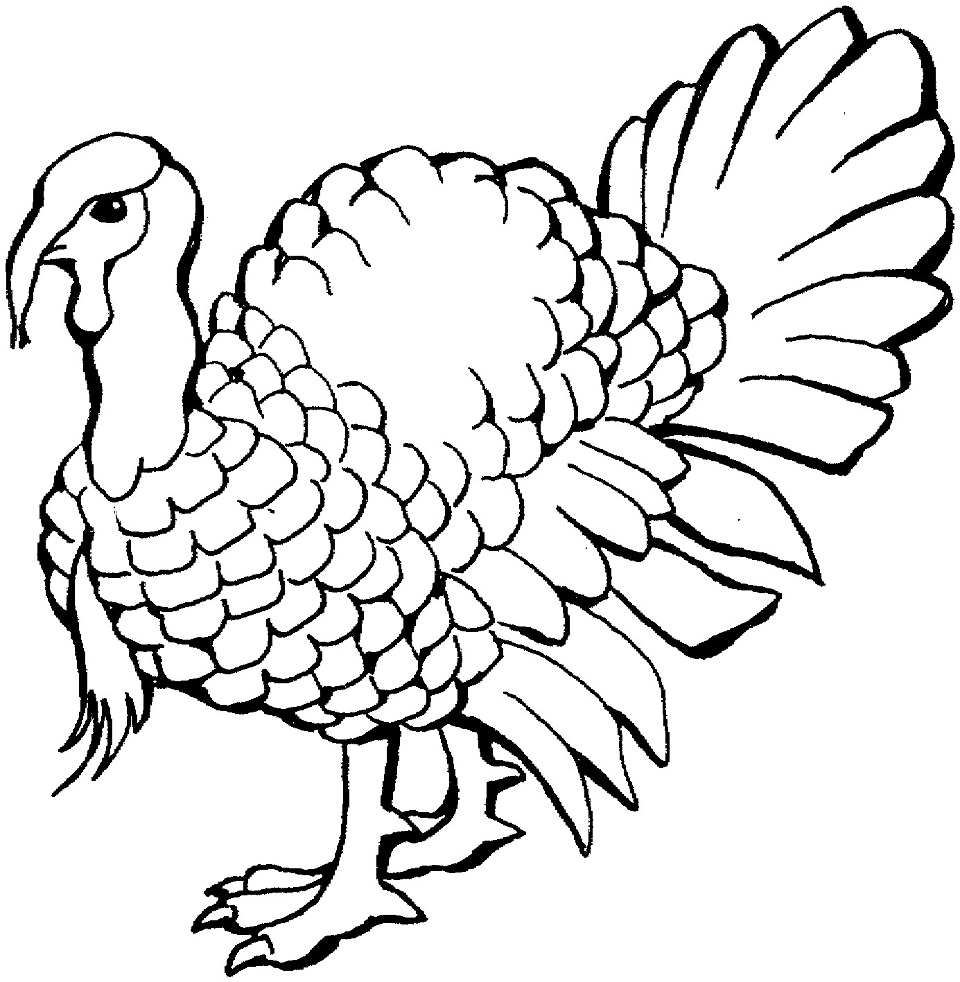 Printable Turkeys Coloring Pages
 Free Printable Turkey Coloring Pages For Kids