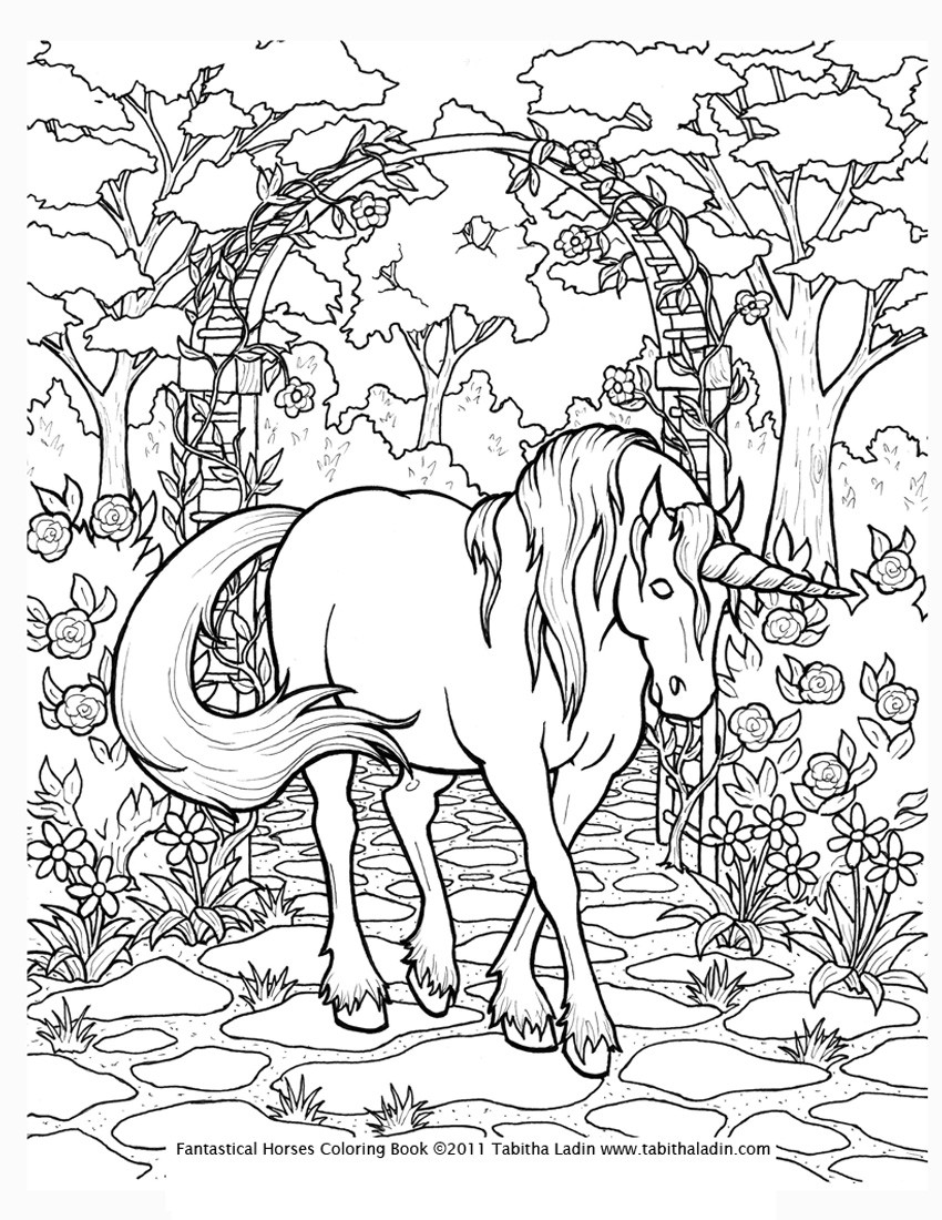 Printable Unicorn Coloring Pages Boys
 unicorn rainbow coloring pages