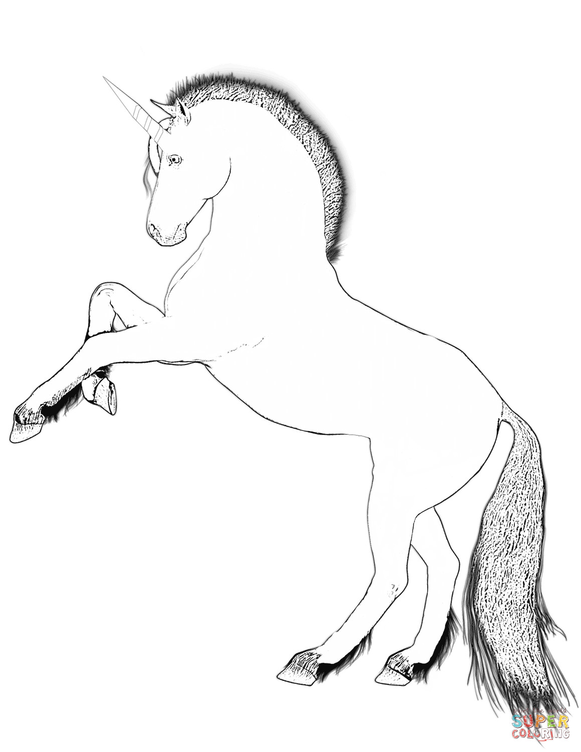 Printable Unicorn Coloring Pages Boys
 Rearing Unicorn coloring page