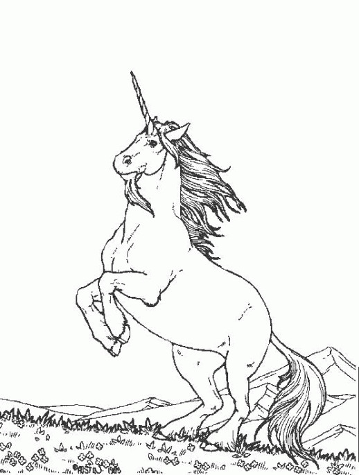 Printable Unicorn Coloring Pages Boys
 50 Coloring Pages For Teenagers