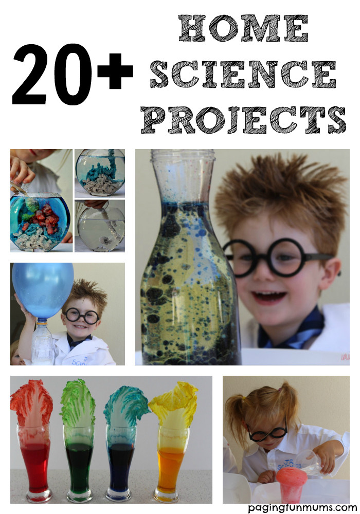Projects For Kids At Home
 20 Home Science Projects for Kids Paging Fun Mums