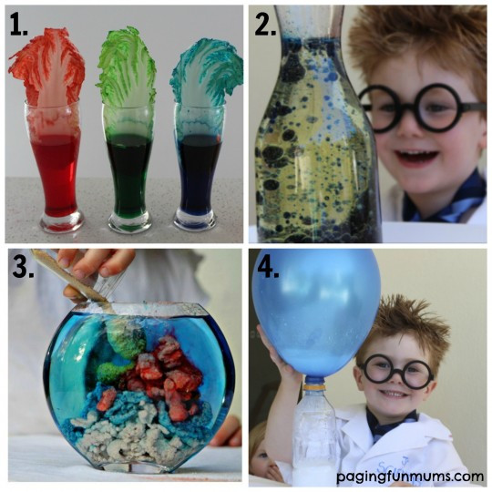 Projects For Kids At Home
 20 Home Science Projects for Kids
