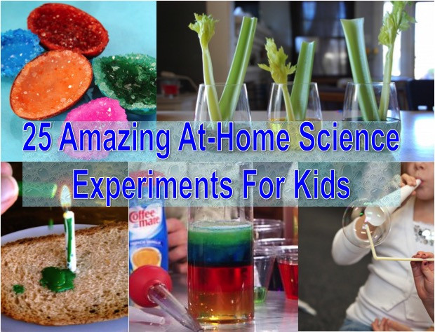 Projects For Kids At Home
 25 Amazing At Home Science Experiments For Kids Find Fun