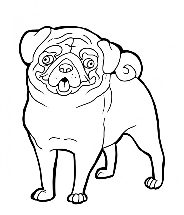 Pug Coloring Book
 Pug Dog Coloring Pages AZ Coloring Pages