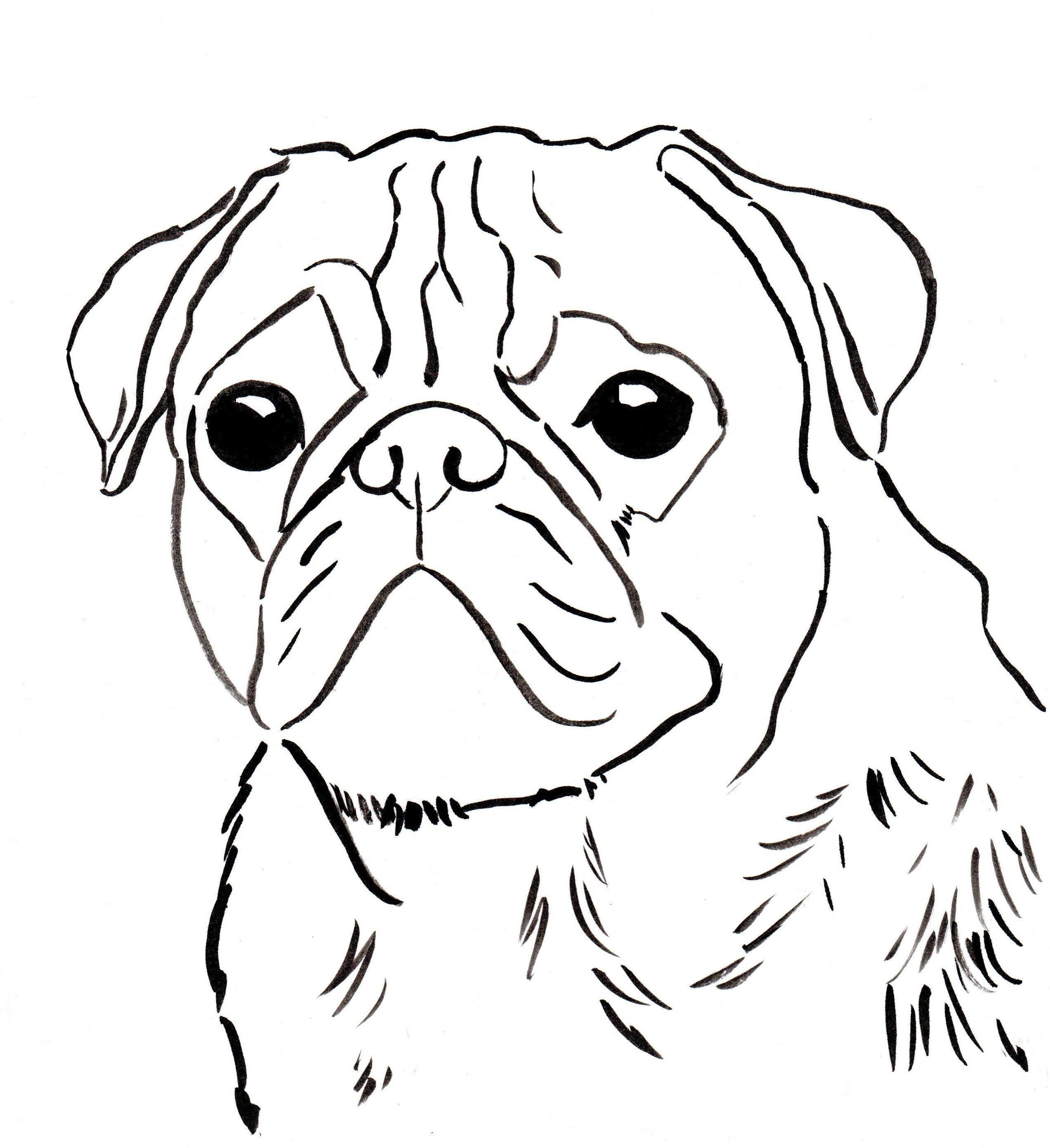 Pug Coloring Book
 Printable Pug Coloring Pages Coloring Home