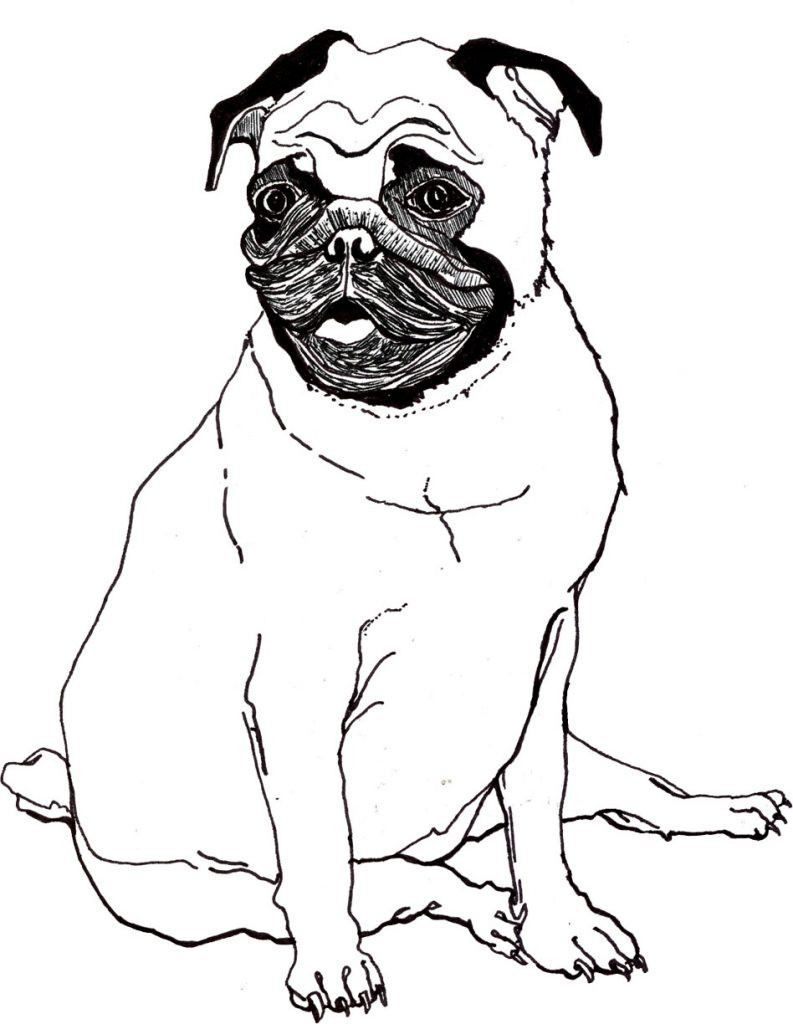 Pug Coloring Book
 Pug Coloring Pages Best Coloring Pages For Kids