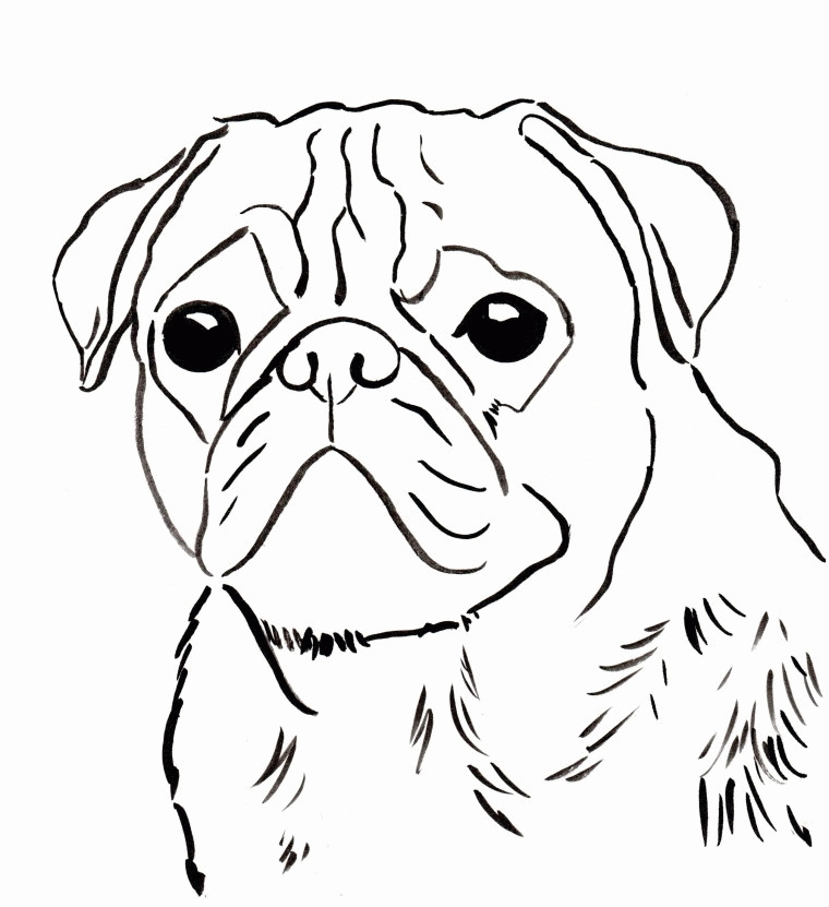Pug Coloring Book
 Coloring Pages Pugs Coloring Home