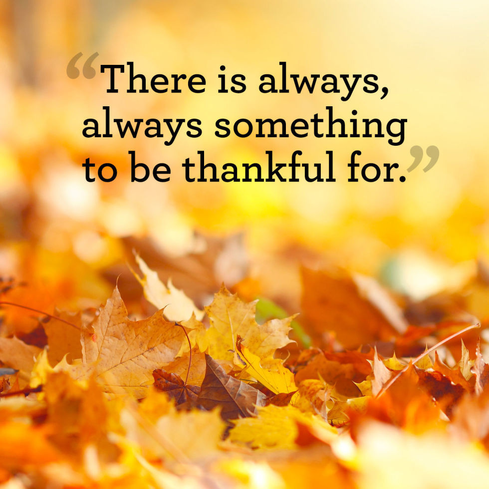 Quote Of Thanksgiving
 Thanksgiving Quotes And Sayings