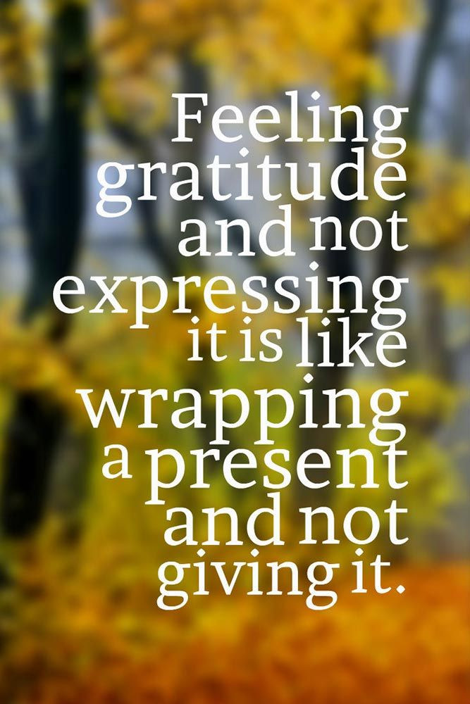 Quote Of Thanksgiving
 25 best Thanksgiving Quotes on Pinterest