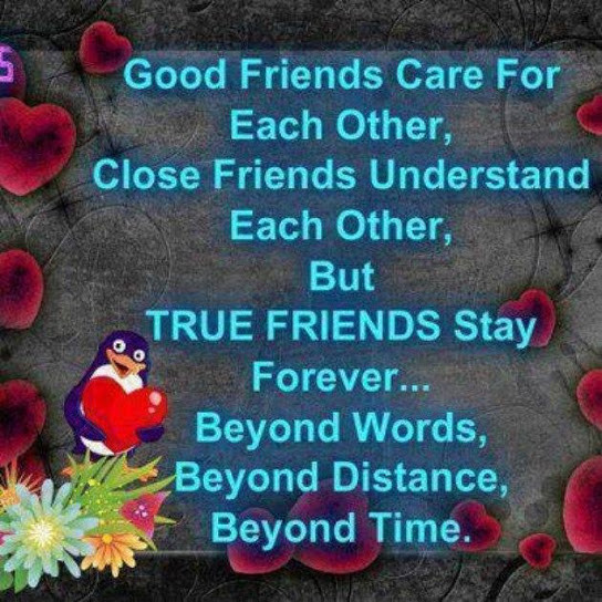 Quote On Real Friendship
 20 True Friends Quotes