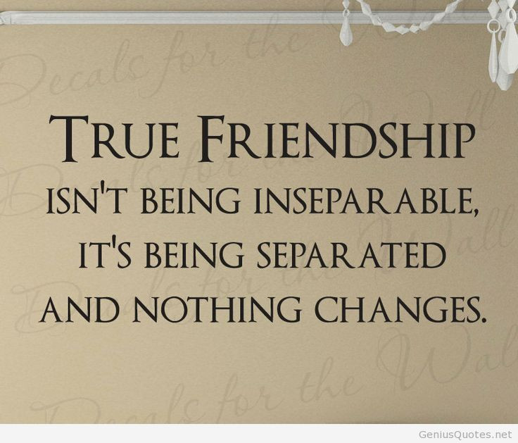 Quote On Real Friendship
 awesome true friendship