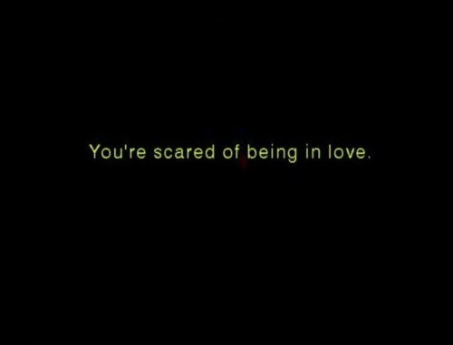 Quotes About Being Scared To Fall In Love
 Afraid To Fall In Love Quotes QuotesGram