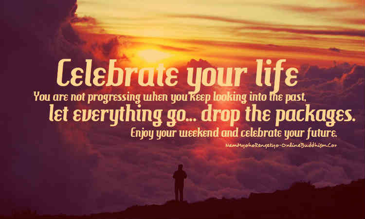 Quotes About Celebrating Life
 Celebrate Your Life Quotes QuotesGram