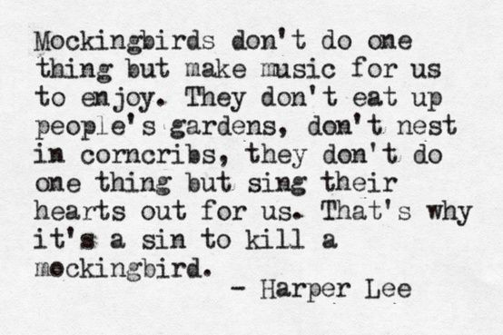 Quotes About Education In To Kill A Mockingbird
 Best 277 To Kill A Mockingbird images on Pinterest