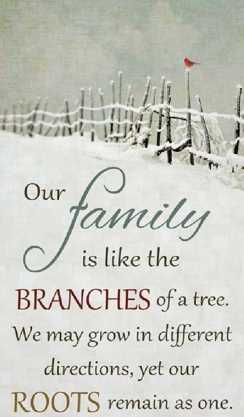 Quotes About Family Time
 Family Spending Time To her Quotes QuotesGram