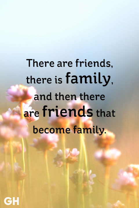 Quotes About Friendship And Family
 20 Short Friendship Quotes to With Your BFF Cute