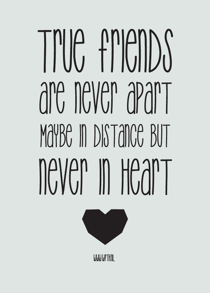 Quotes About Friendship And Time
 Top 20 Cute Friendship Quotes Friendship quotes