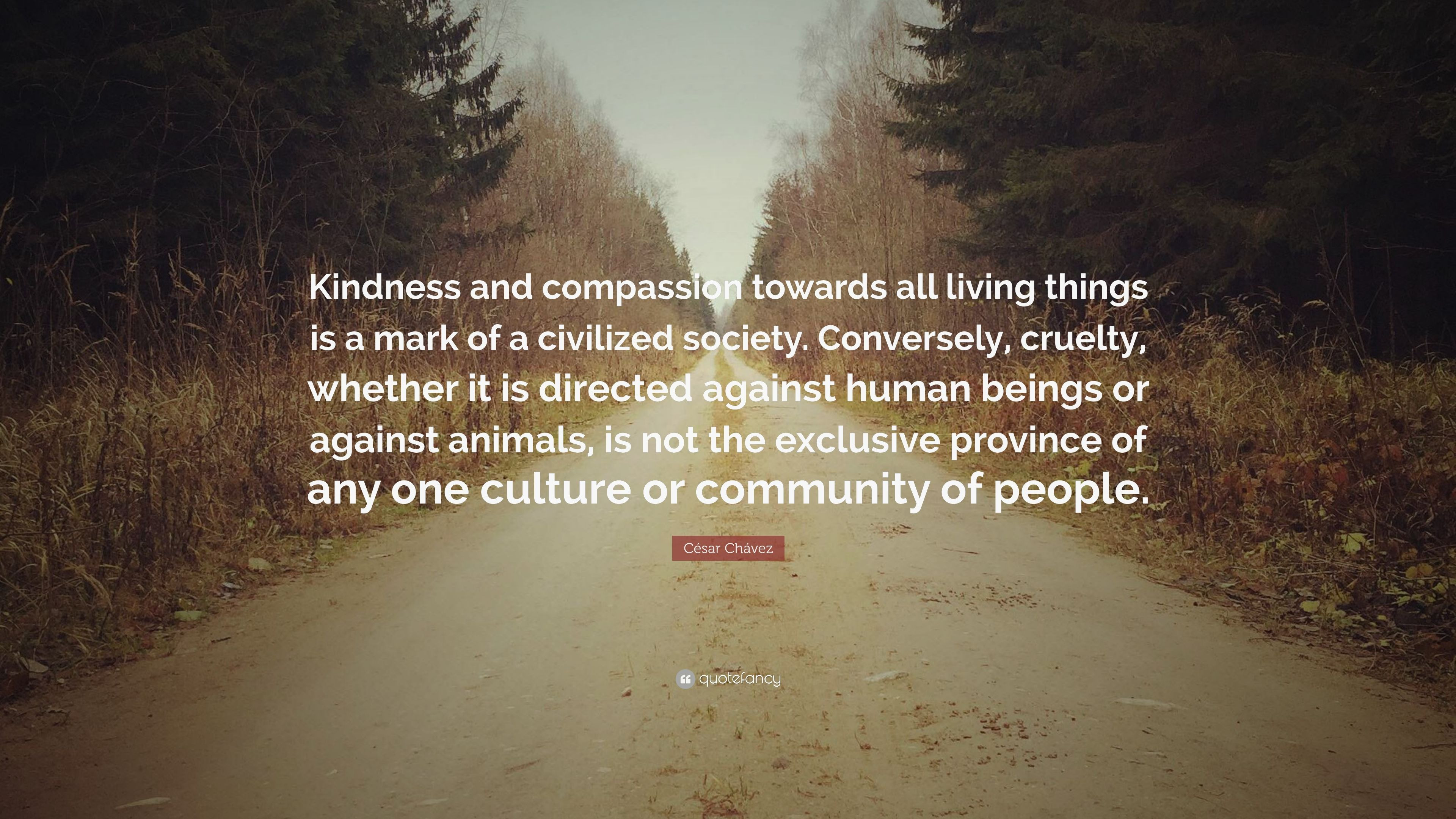 Quotes About Kindness And Compassion
 César Chávez Quote “Kindness and passion towards all