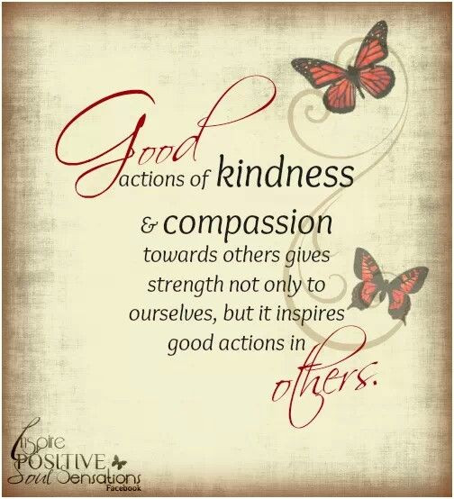 Quotes About Kindness And Compassion
 Kindness passion Quotes And Sayings QuotesGram