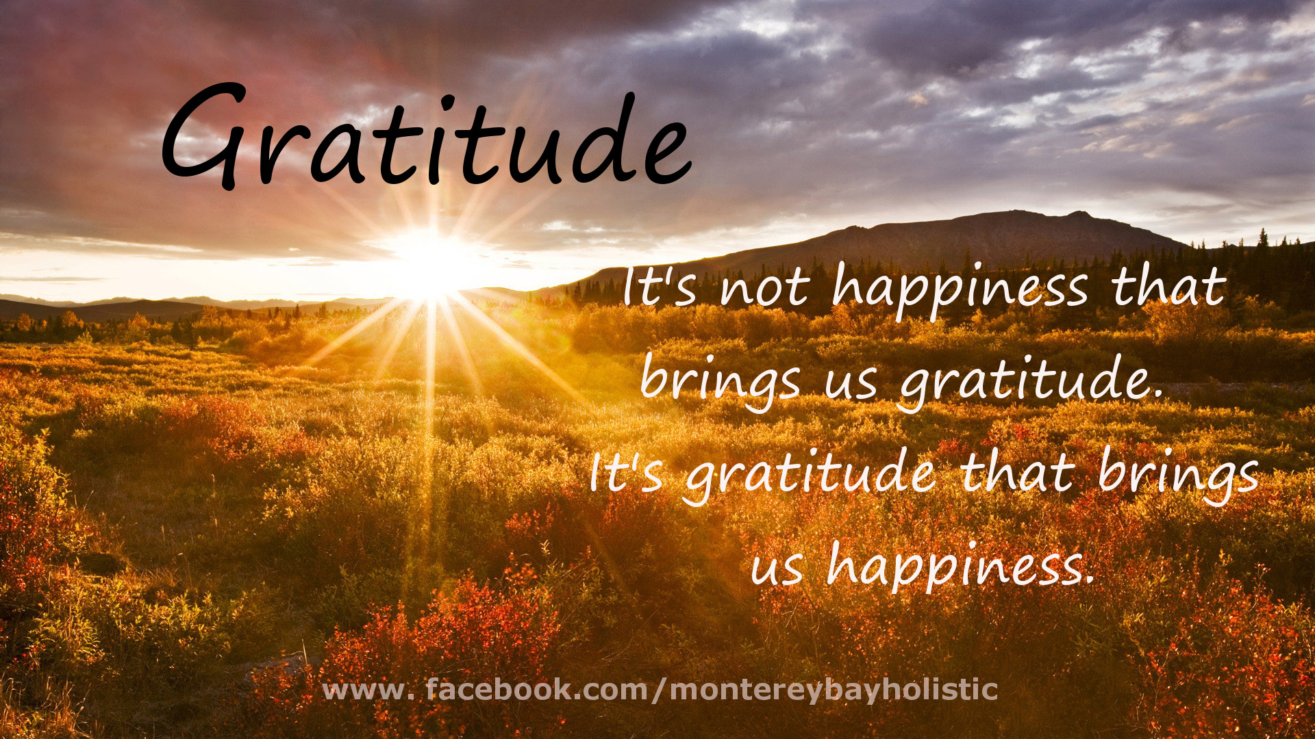 Quotes On Thanksgiving And Gratitude
 20 Best Gratitude Quotes