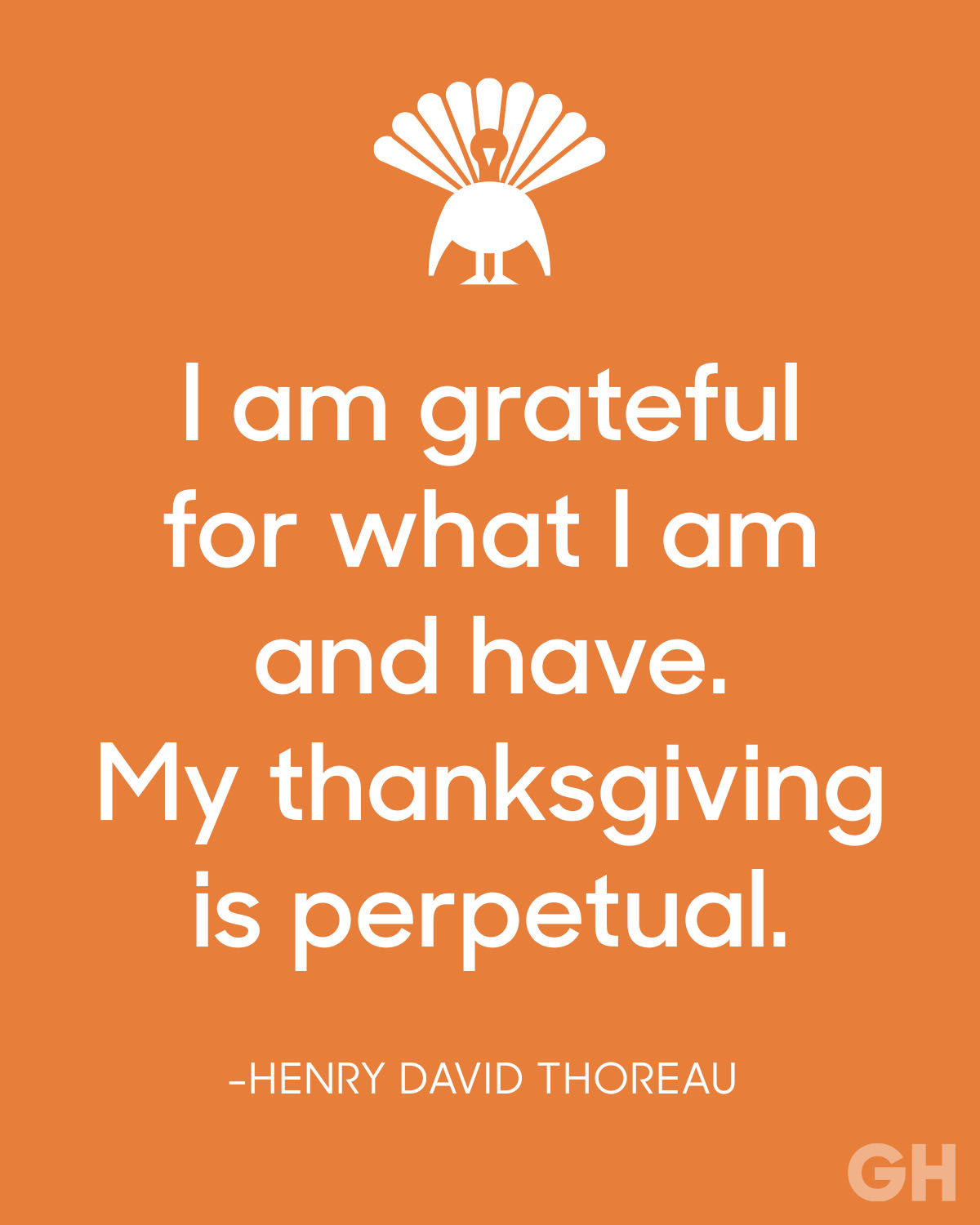 Quotes On Thanksgiving
 Happy Thanksgiving 2016 Page 2