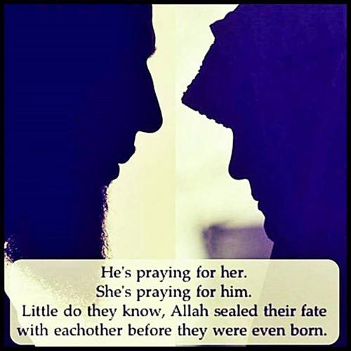 Quran Marriage Quotes
 Love Relationship 70 Islamic Marriage Quotes