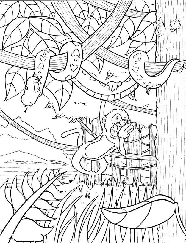Rainforest Coloring Pages Printable
 Magic Tree House Book Club Afternoon on the Amazon