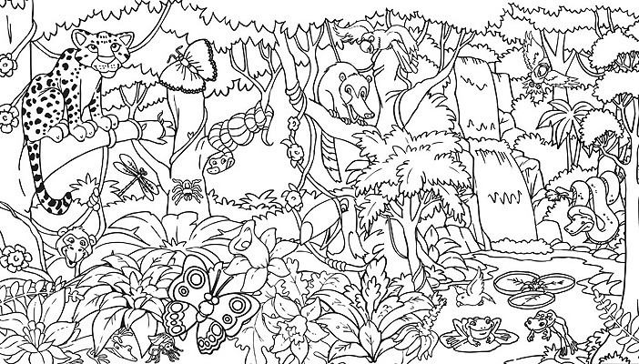 Rainforest Coloring Pages Printable
 rainforest coloring pages endangered species coloring