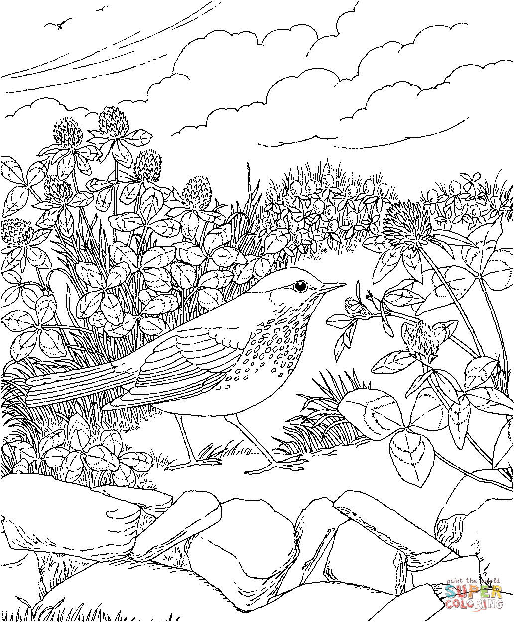 Rainforest Coloring Pages Printable
 Coloring Pages Forest Coloring Home