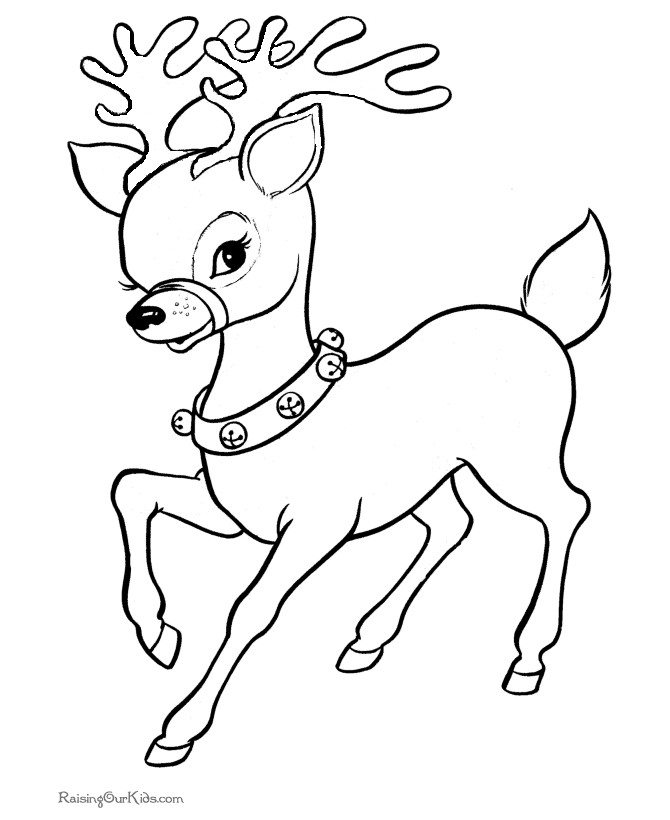 Reindeer Printable Coloring Pages
 Cute Printable Reindeer Christmas coloring pages