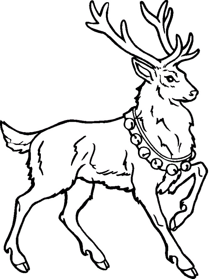 Reindeer Printable Coloring Pages
 Free Printable Reindeer Coloring Pages For Kids