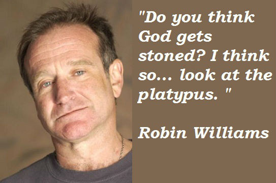 Robin Williams Sad Quotes
 Robin Williams